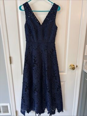 Sachin & Babi Dress